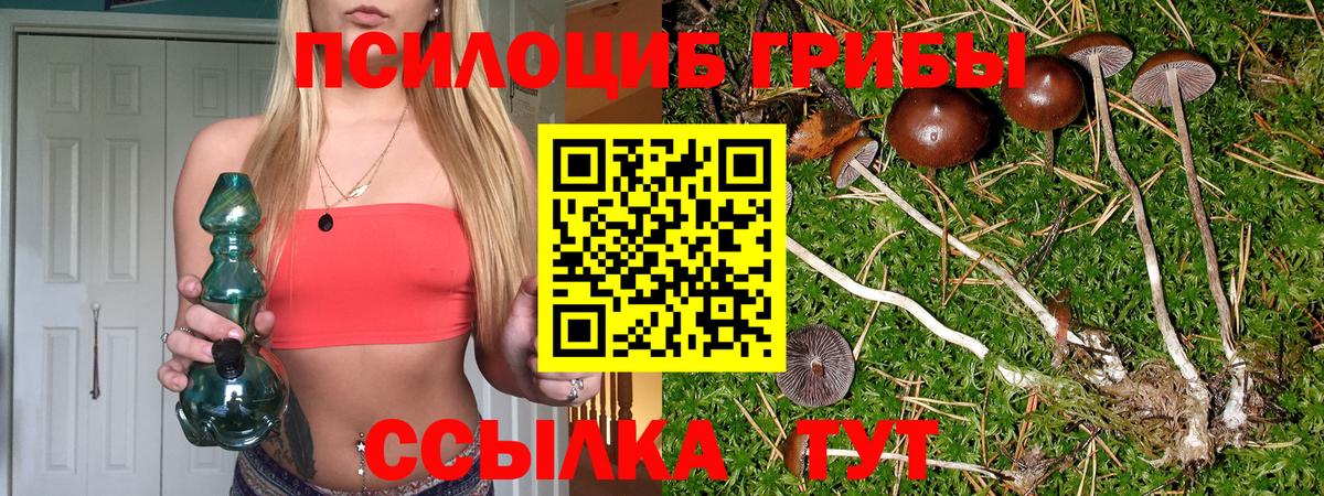 Псилоцибиновые грибы GOLDEN TEACHER Губаха