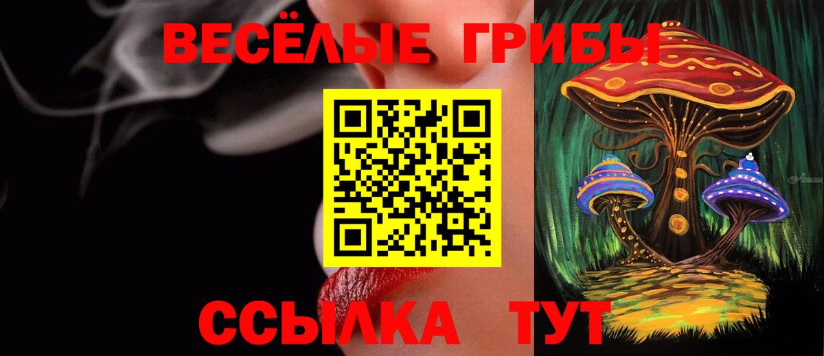 Псилоцибиновые грибы Magic Shrooms  Вход с VPN  Губаха 
